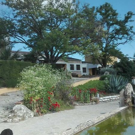 La Escuela Del Campo Bed & Breakfast Setenil De Las Bodegas Dış mekan fotoğraf