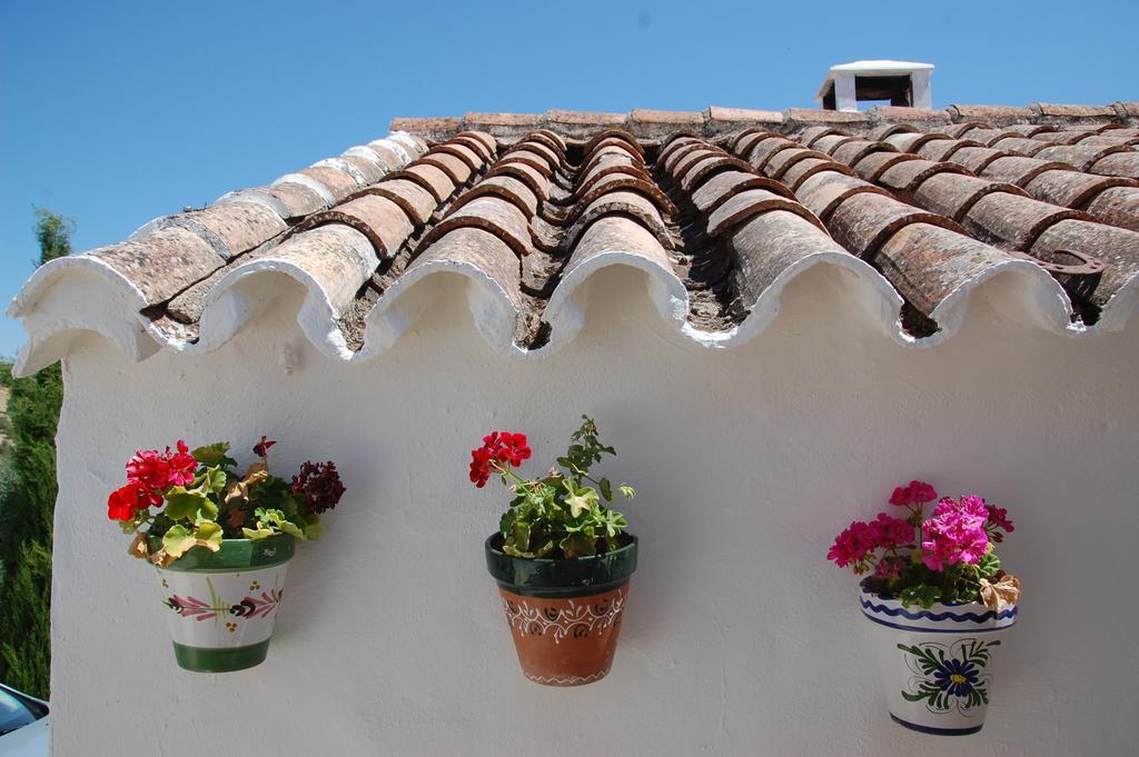 La Escuela Del Campo Bed & Breakfast Setenil De Las Bodegas Dış mekan fotoğraf