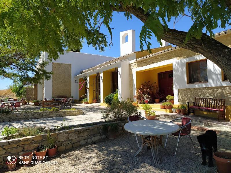 La Escuela Del Campo Bed & Breakfast Setenil De Las Bodegas Dış mekan fotoğraf