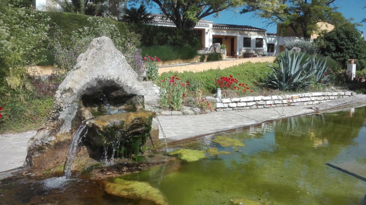 La Escuela Del Campo Bed & Breakfast Setenil De Las Bodegas Dış mekan fotoğraf