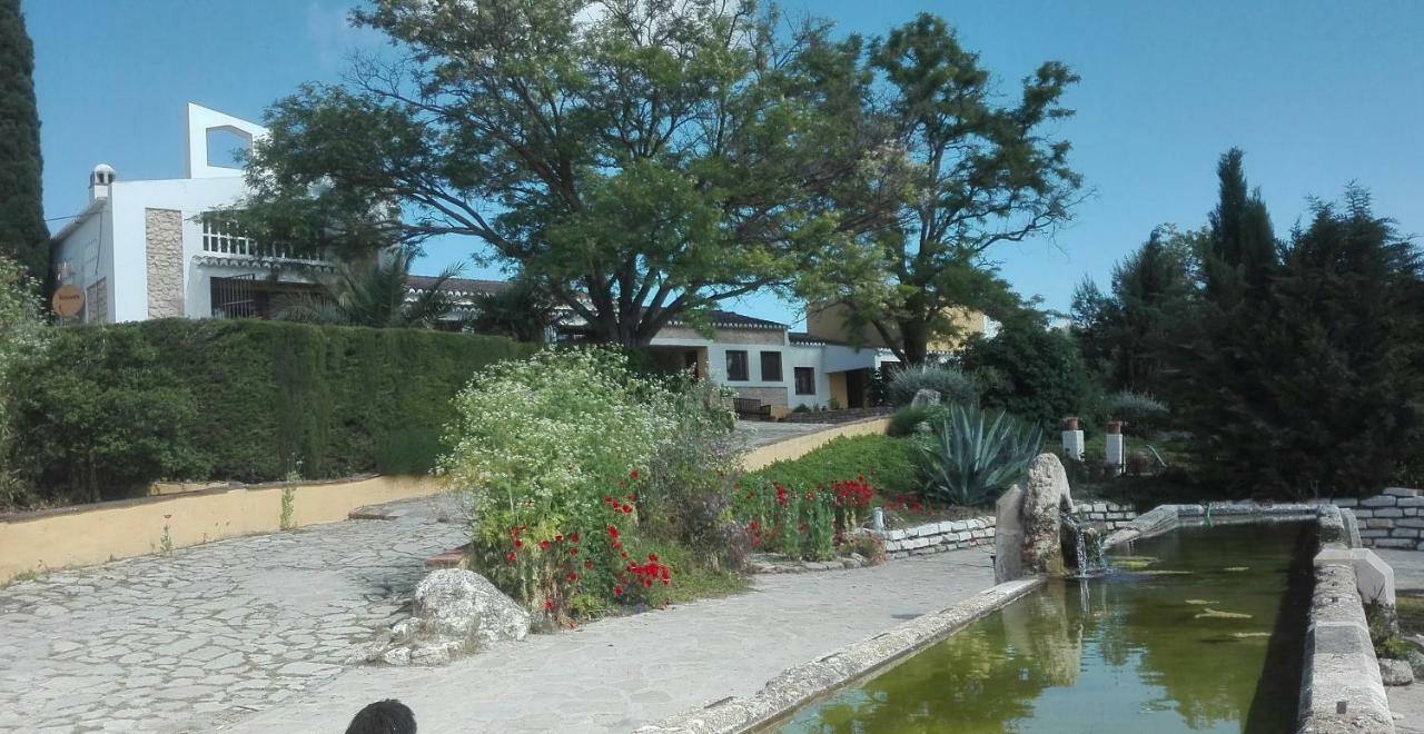 La Escuela Del Campo Bed & Breakfast Setenil De Las Bodegas Dış mekan fotoğraf